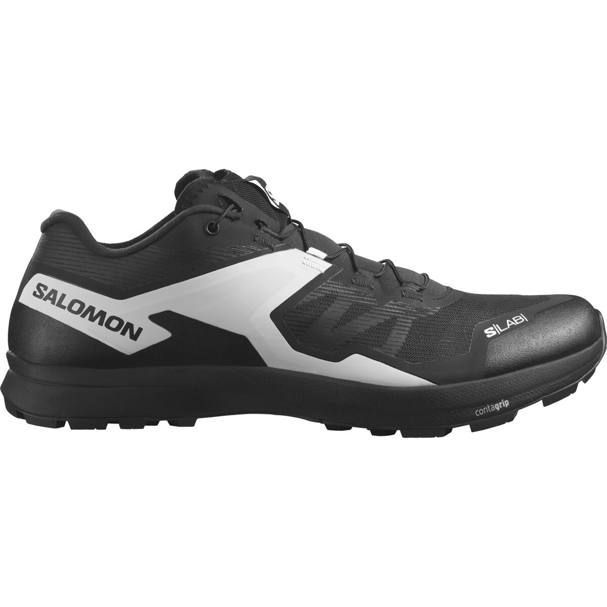 Salomon s lab alpine on sale