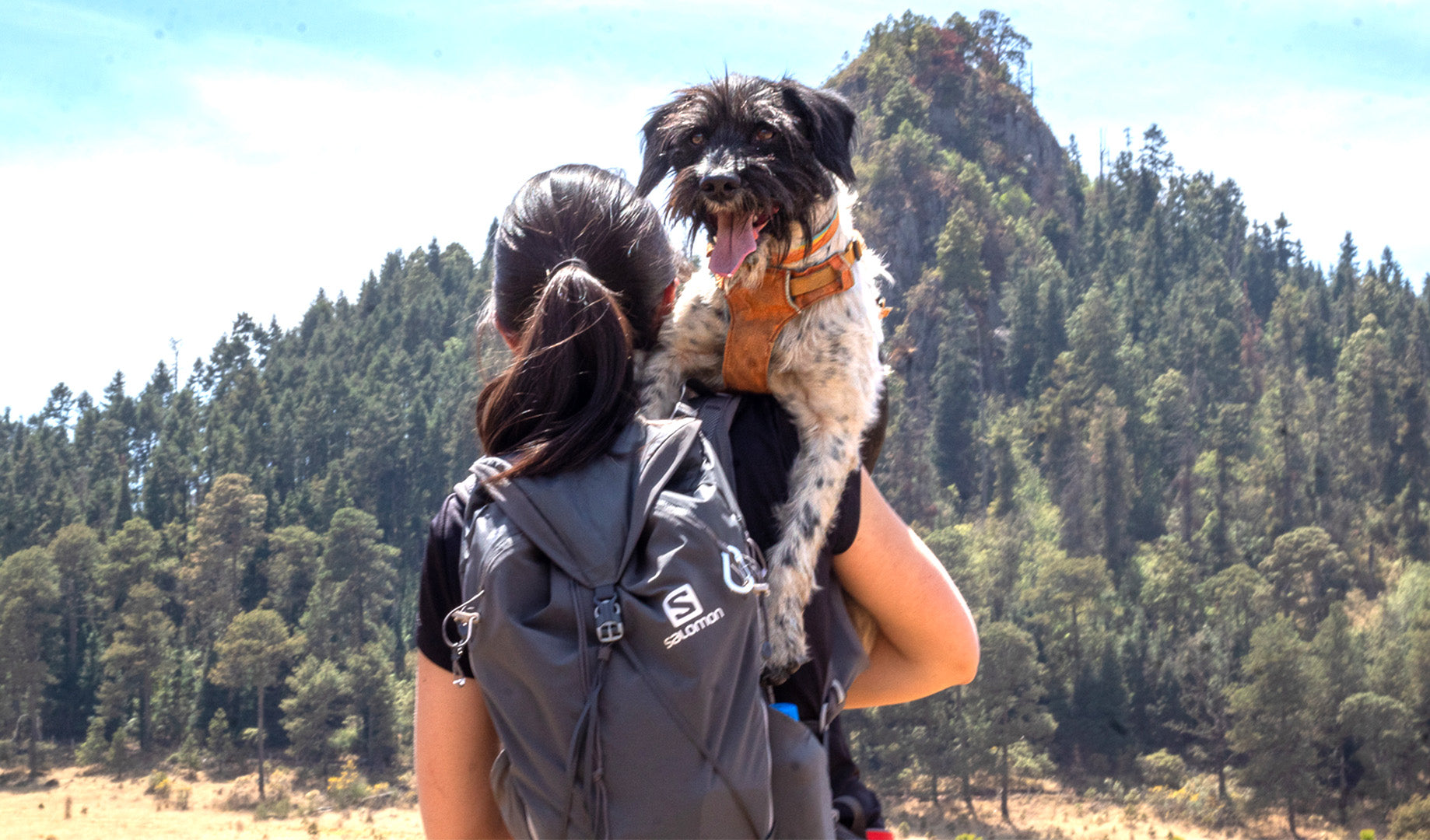 Rutas al aire libre para disfrutar con tu perro