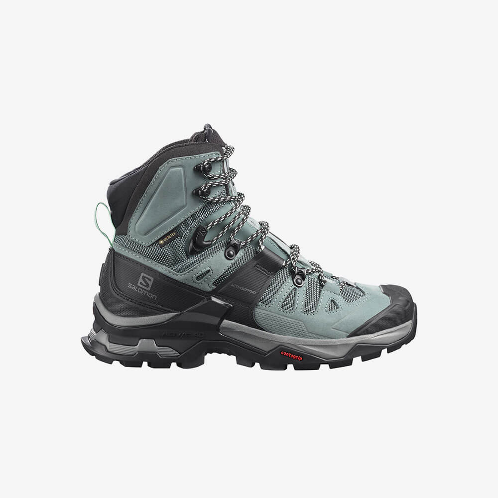 Salomon men's quest 4d 3 gtx online